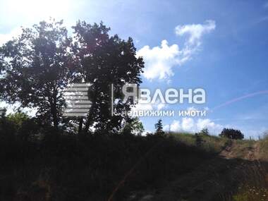 For sale - Agricultural land in Carevo,  Burgas