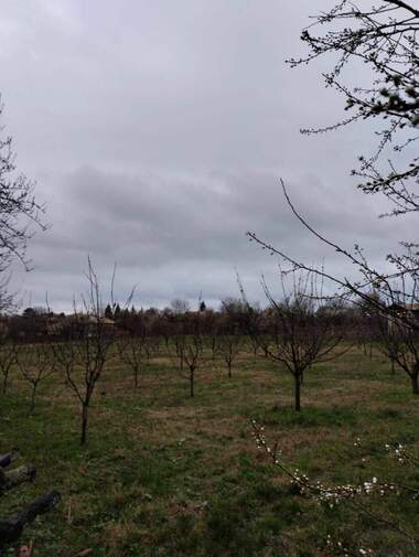 Satış - İnşaat arsası olarak Posabina,  Targovishte