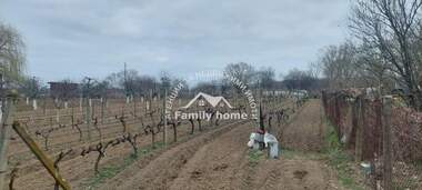Продажба - Овощна градина в Старо Оряхово,  Варна
