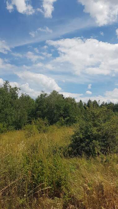 For sale - For Construction in Sapareva Bania,  Kiustendil