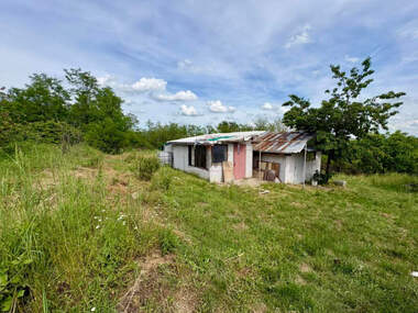 For sale - Orchard in Rusofili,  Ruse