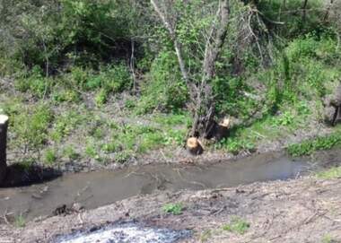 For sale - Meadow/pasture in Dolno Ablanovo,  Ruse