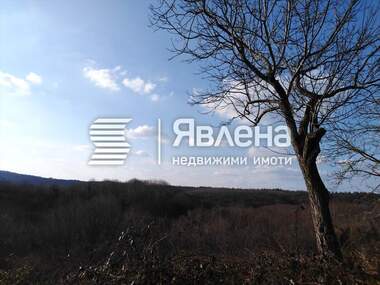 Verkauf - Landwirtschaftlich Grundstück in Balgari,  Burgas