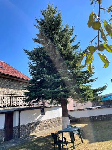 Verkauf - Haus in Dospat,  Smolian
