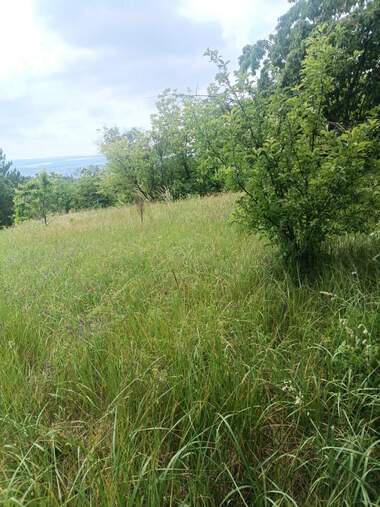 Satış - Asmalıklar olarak Promişlena zona - Sever,  Razgrad