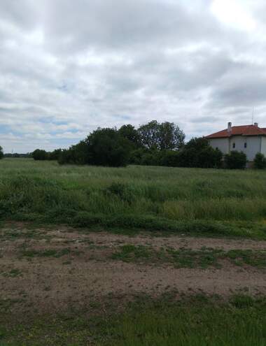 For sale - For Construction in Trebich,  Sofia