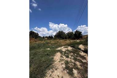 Satış - Tarım arsası olarak Cerovishte,  Targovishte
