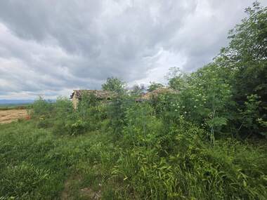 Verkauf - Baugrundstück in Buhowzi,  Targowishte