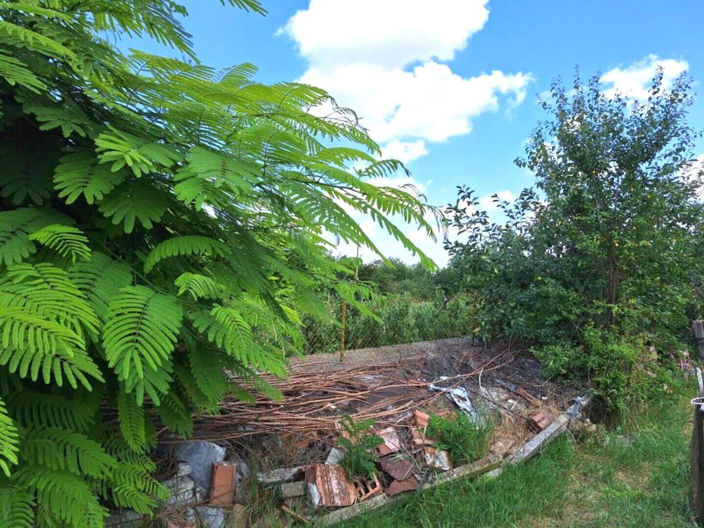 For Construction in Gorsko Slivovo, Lovech – photo 2