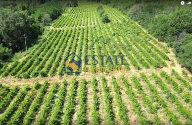 For sale - Agricultural land in Hrabrino,  Plovdiv