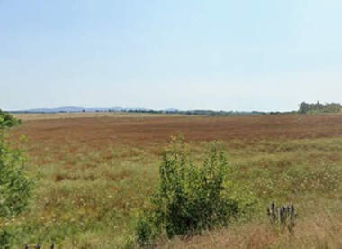 For sale - Agricultural land in Krushevets,  Burgas
