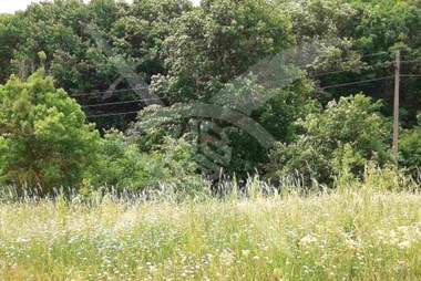 For sale - For Construction in Industrialna zona-Sever,  Plovdiv