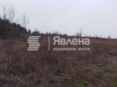 For sale - Agricultural land in Carevo,  Burgas