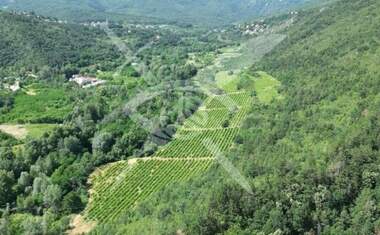 For sale - Agricultural land in Plovdiv,  Bulgaria