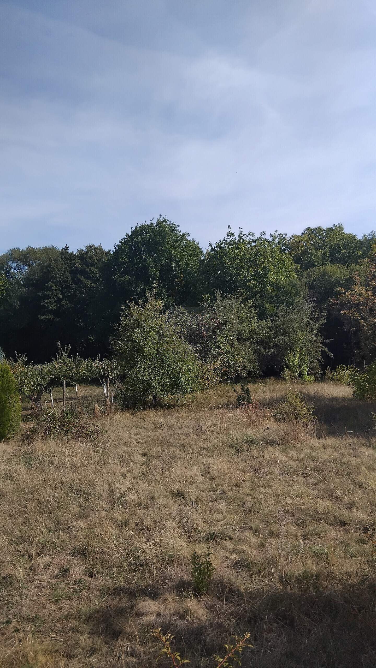 Οικόπεδο για κατασκευή σε Ζιλεντσι, Κιούστενδιλ – φωτογραφία 2