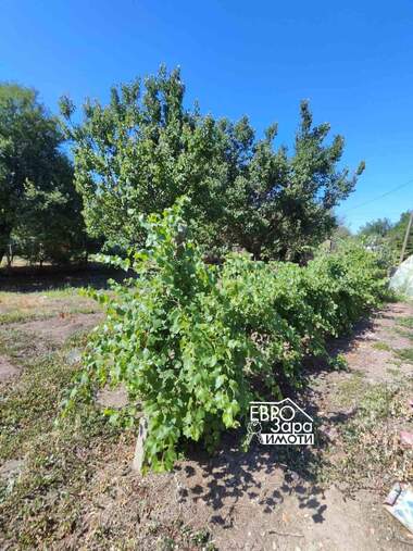 For sale - House in Arnautito,  Stara Zagora