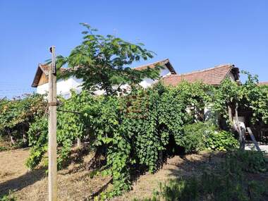 Vânzare - Apartament în Gorni Dăbnik,  Pleven