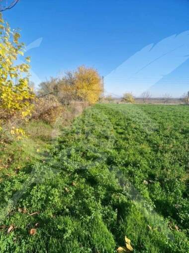 Продажба - Земеделска земя в Долнослав,  Пловдив