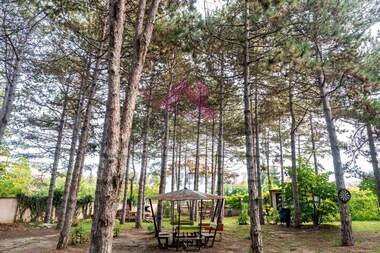 For rent - Apartment in Alen mak,  Varna