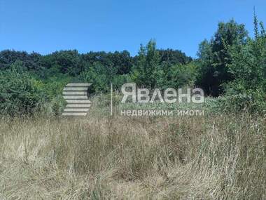 Verkauf - Landwirtschaftlich Grundstück in Rezowo,  Burgas