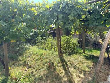 For sale - House in Brejani,  Blagoevgrad