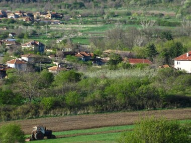 Imobiliare Drianoveț