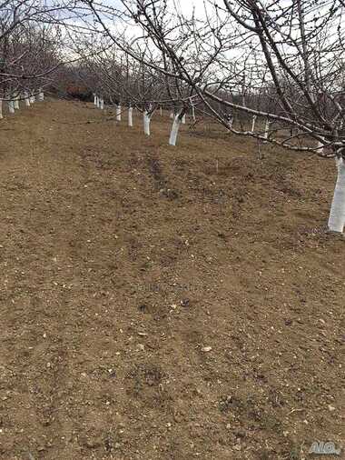 For sale - For Construction in Chintulovo,  Sliven