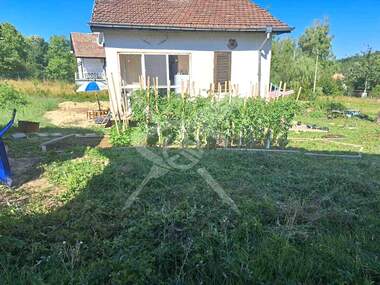 For sale - House in Ribarica,  Sofia Oblast