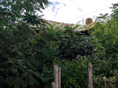 Vânzare - Casă în Benkovski,  Dobrice