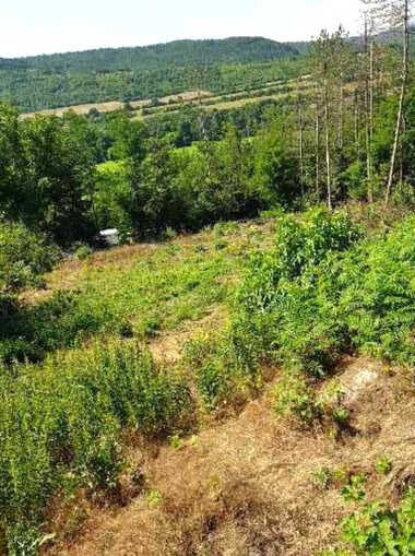 Πώληση - Οικόπεδο για κατασκευή σε Саласука,  Габрово