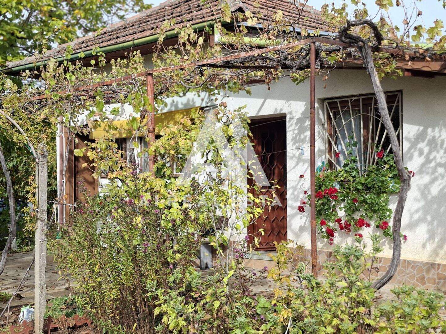 House in Kozhuharska cheshma, Pleven – photo 2