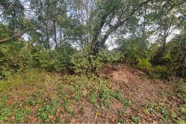 For sale - For Construction in Lozevo,  Shumen