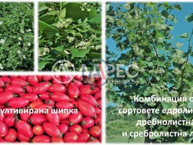 For sale - Agricultural land in Gorno Kamarci,  Sofia Oblast
