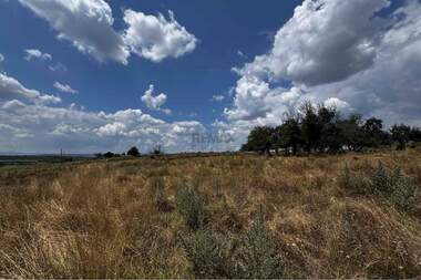 Satış - Tarım arsası olarak Cerovishte,  Targovishte