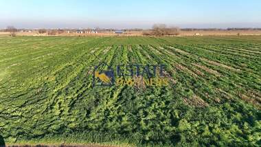 For sale - Agricultural land in Zlatitrap,  Plovdiv