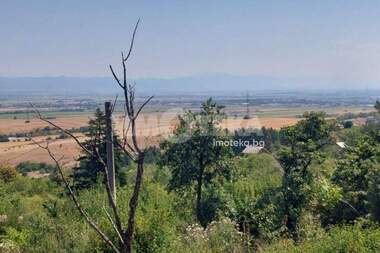Satış - Ev olarak Pojarevo,  Sofia Oblast