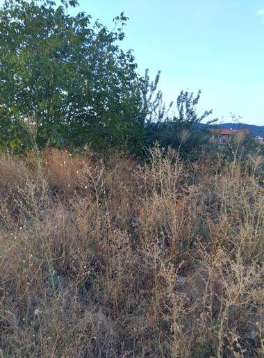 For sale - For Construction in Dupnica,  Kiustendil