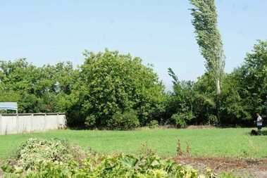 For sale - Agricultural land in jeliu Voyvoda,  Sliven