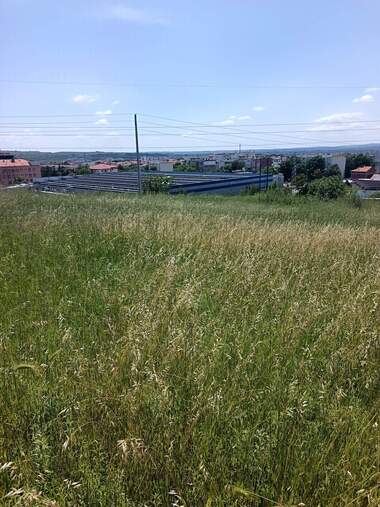 Продажба - Земеделска земя в Свиленград,  Хасково