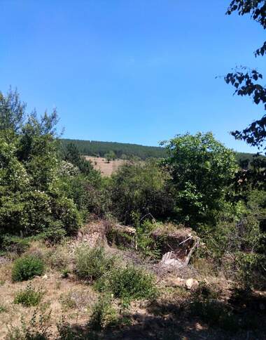 Verkauf - Baugrundstück in Dolna Dikania,  Pernik