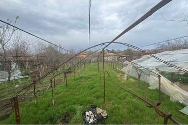 For sale - House in Ilia Blaskovo,  Shumen