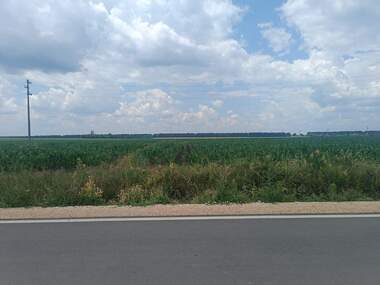 Продажба - Парцел за строителство в Безводица,  Добрич