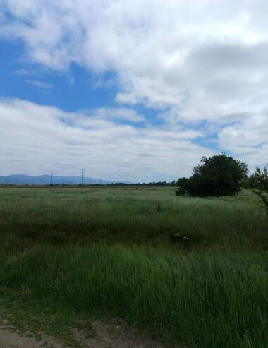 For sale - For Construction in Trebich,  Sofia