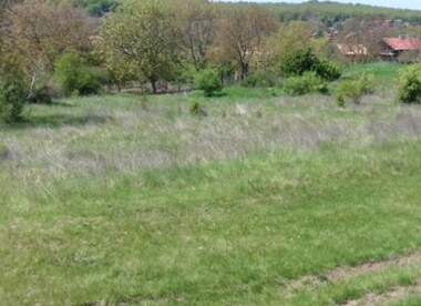 For sale - Meadow/pasture in Dolno Ablanovo,  Ruse