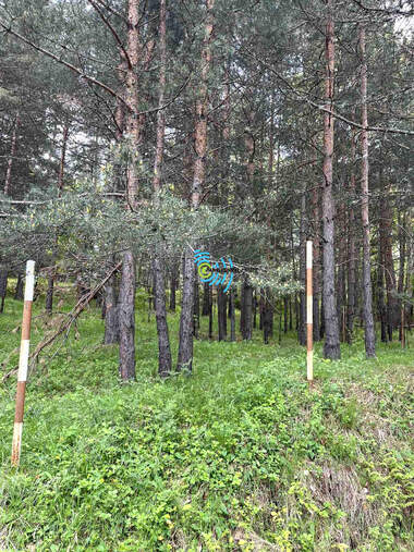 Satış - İnşaat arsası olarak Boykovo,  Plovdiv