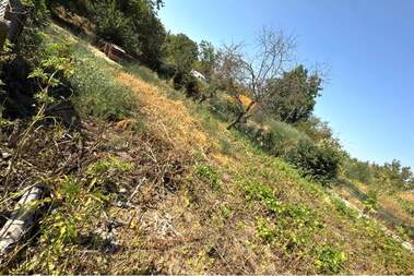 For sale - For Construction in Rusofili,  Ruse