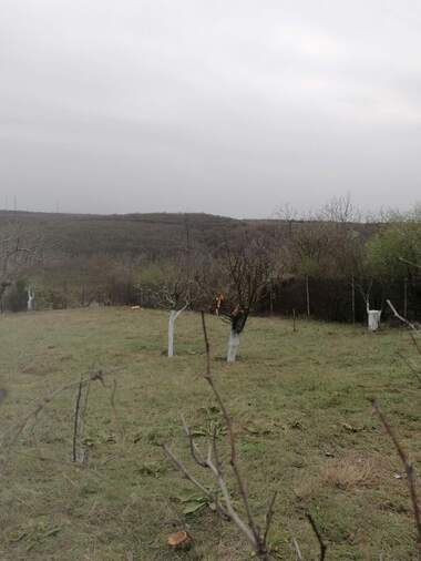 Vânzare - Teren de construcții în Nikolovo,  Ruse
