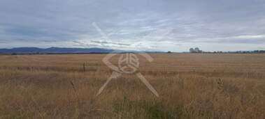 For sale - For Construction in Chelopechene,  Sofia