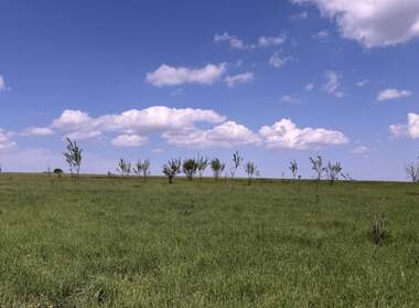 For sale - Agricultural land in Snezhina,  Varna
