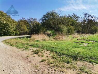 For sale - Agricultural land in Orleto,  Pleven